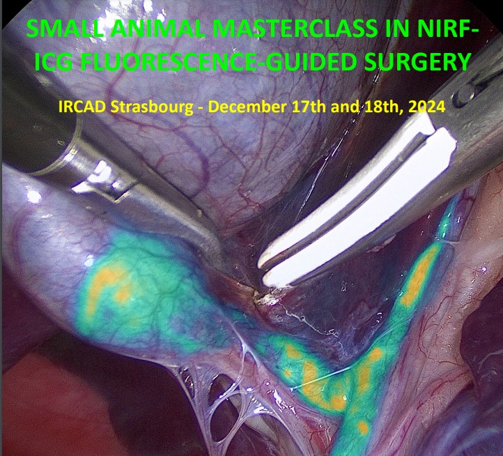Animal Surgery, Fluorescence