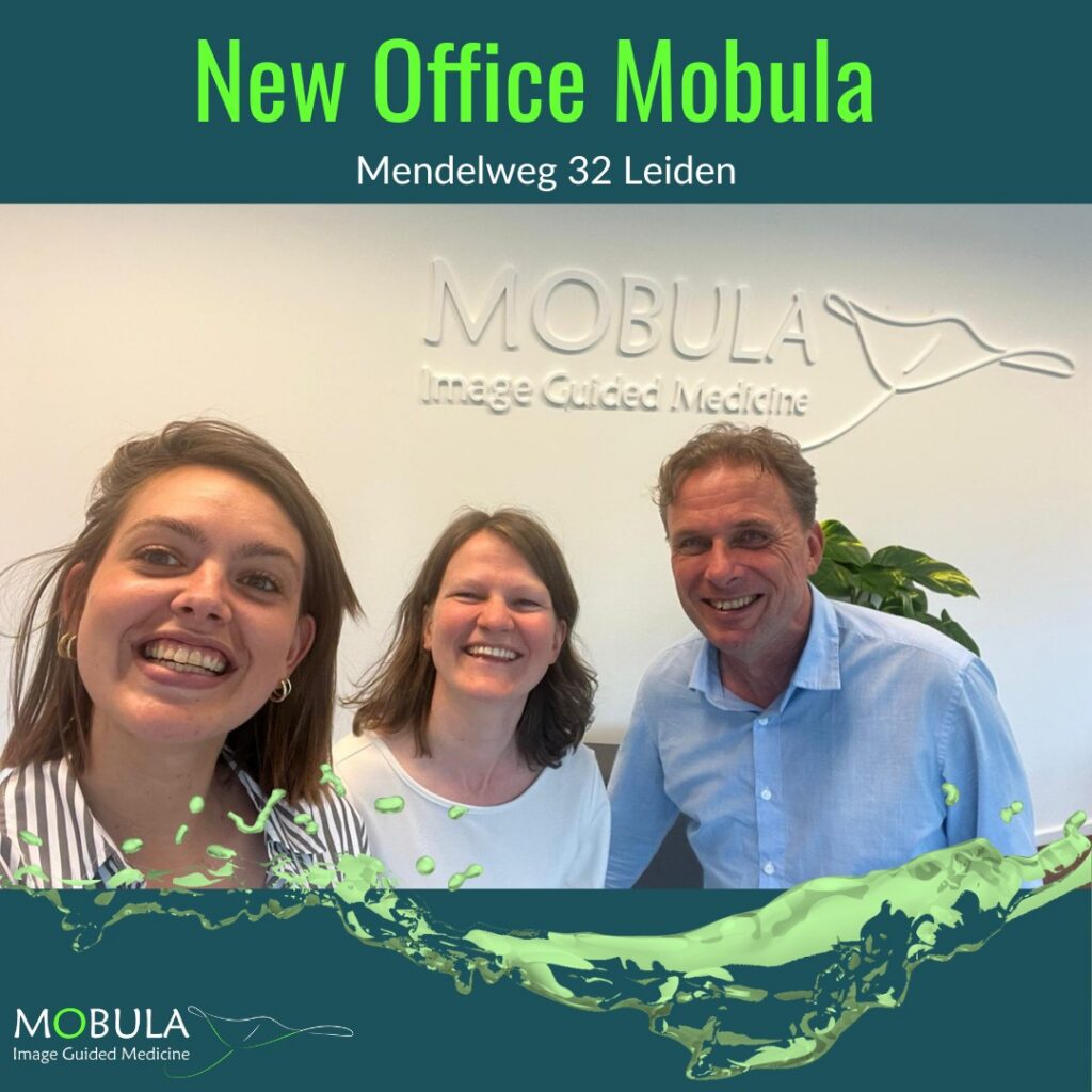 New Office Mobula