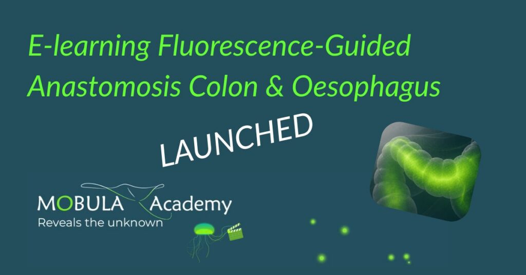E-learning Fluorescence Guided Anastomosis Upper & Lower GI