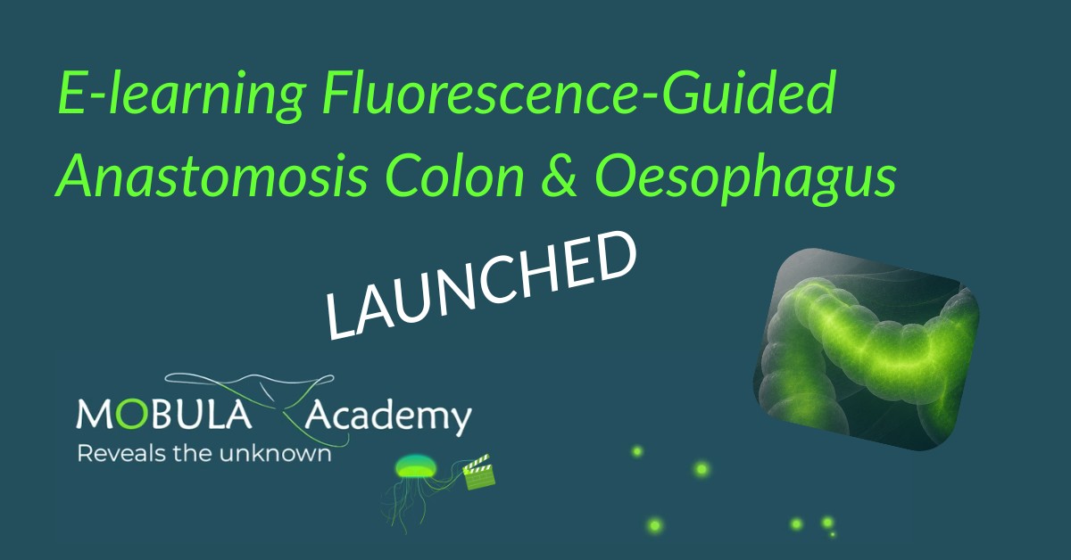 E-learning Fluorescence Guided Anastomosis Upper & Lower GI